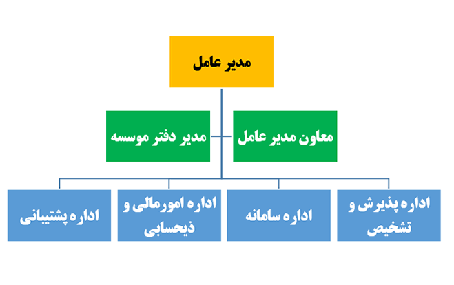 نمودار موسسه